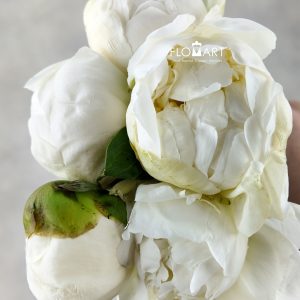 Paeonia Bridal Shower
