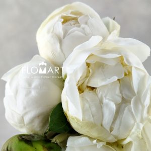 Paeonia Bridal Shower - Image 2