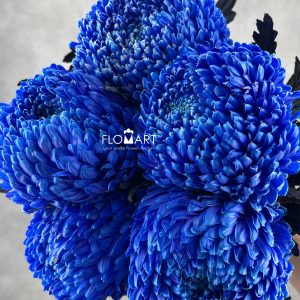 Peony Mum White Dyed Absolute Blue