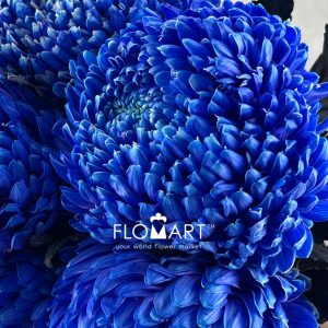 Peony Mum White Dyed Absolute Blue - Image 2