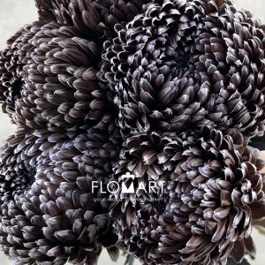 Peony Mum White Dyed Black Coffee - Image 2
