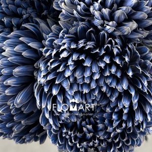 Peony Mum White Dyed Blue Rock - Image 2