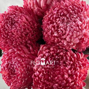 Peony Mum White Dyed Carmine Red - Image 2
