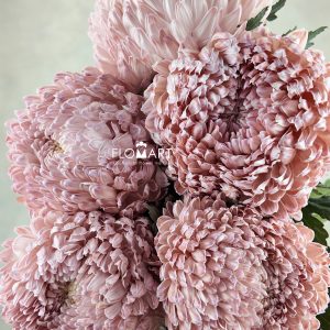 Peony Mum White Dyed Clay Brown