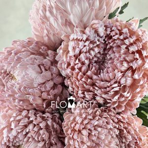 Peony Mum White Dyed Clay Brown - Image 2