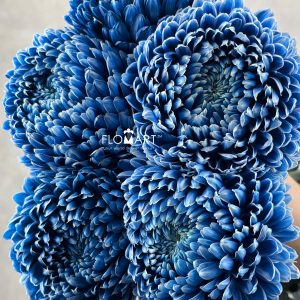 Peony Mum White Dyed Denim Blue