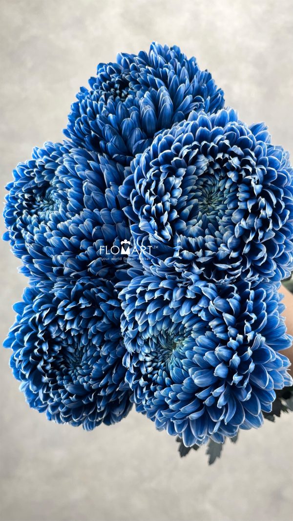 Peony Mum White Dyed Denim Blue