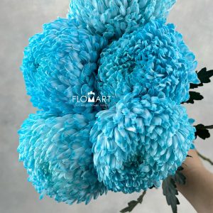 Peony Mum White Dyed Electric Blue