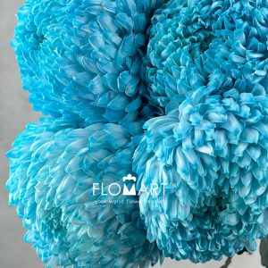 Peony Mum White Dyed Electric Blue - Image 2