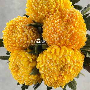 Peony Mum White Dyed Gold Yellow