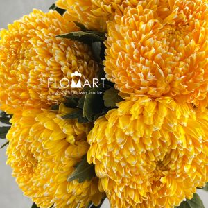 Peony Mum White Dyed Gold Yellow - Image 2