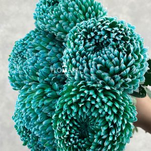 Peony Mum White Dyed Hunter Green