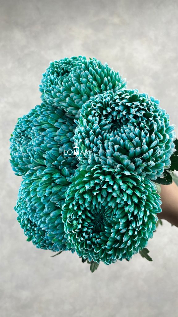 Peony Mum White Dyed Hunter Green