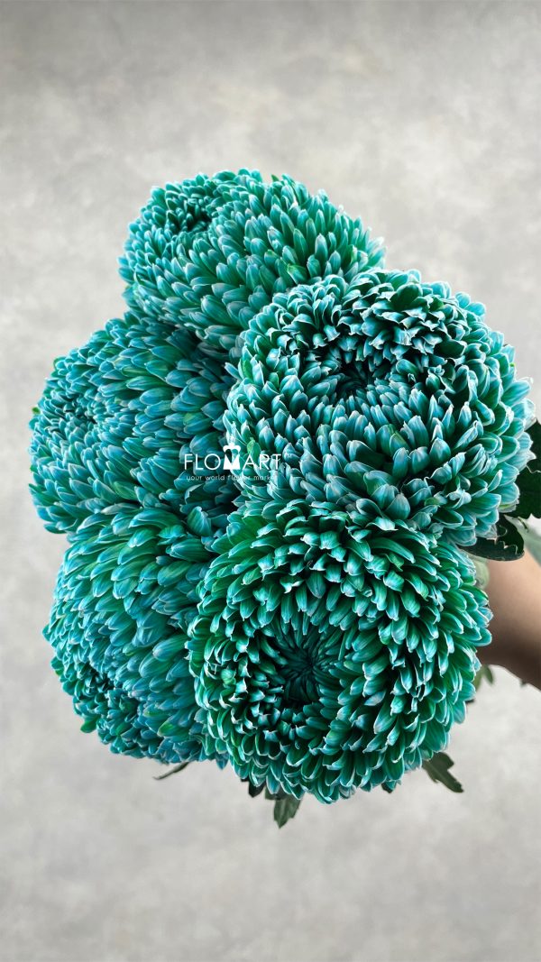 Peony Mum White Dyed Hunter Green