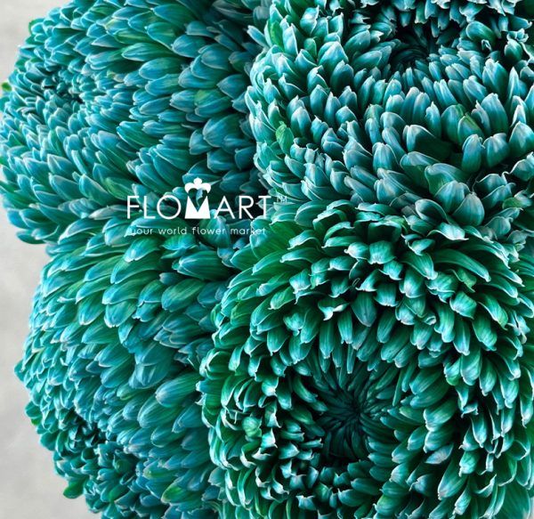 Peony Mum White Dyed Hunter Green