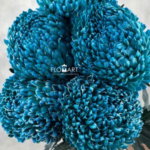 Peony Mum White Dyed Munsell Blue