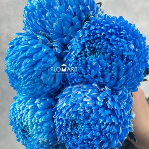 Peony Mum White Dyed Pacific Blue