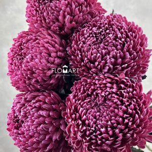 Peony Mum White Dyed Pansy Purple