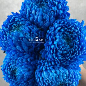 Peony Mum White Dyed Persian Blue