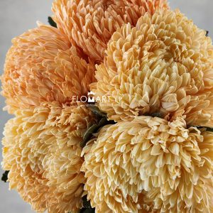 Peony Mum White Dyed Pumpkin Orange