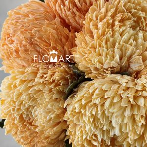 Peony Mum White Dyed Pumpkin Orange - Image 2