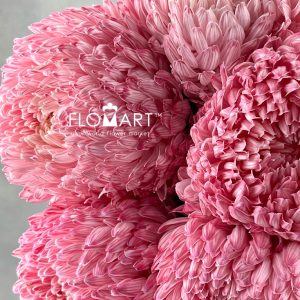 Peony Mum White Dyed Radical Red - Image 2