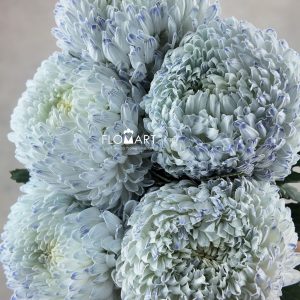 Peony Mum White Dyed Smoked White