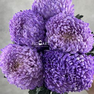 Peony Mum White Dyed Thistle