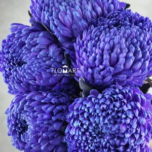 Peony Mum White Dyed Ultramarine