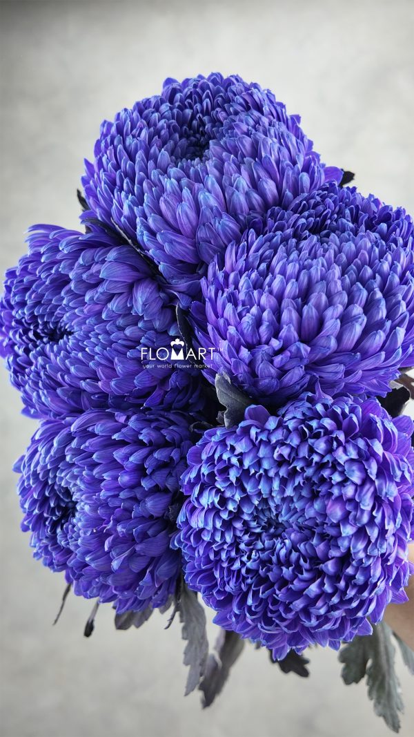 Peony Mum White Dyed Ultramarine