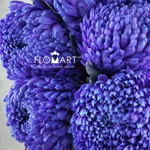 Peony Mum White Dyed Ultramarine - Image 2
