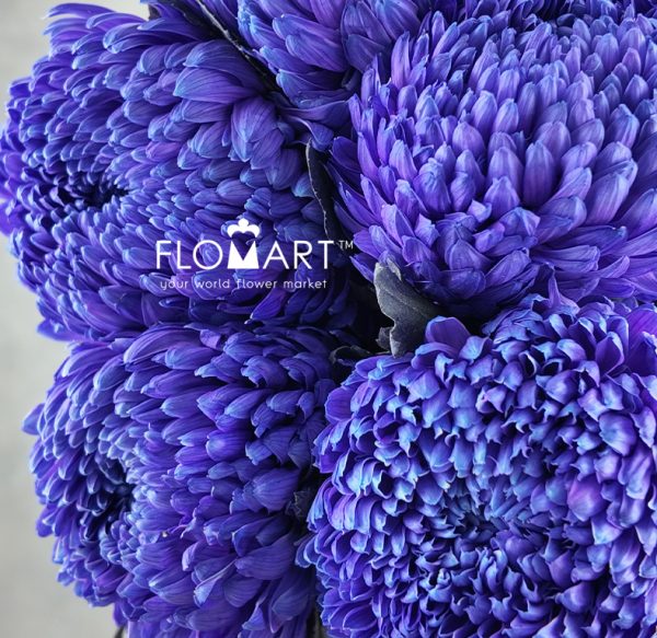 Peony Mum White Dyed Ultramarine