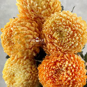Peony Mum White Dyed Vivid Orange