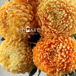Peony Mum White Dyed Vivid Orange - Image 2