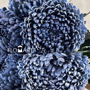 Peony Mum White Dyed Yale Blue - Image 2