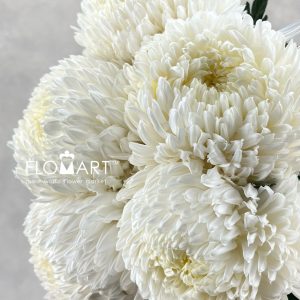 Peony Mum White - Image 2