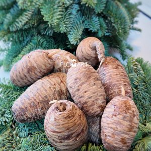 Pinecone Cedar Small