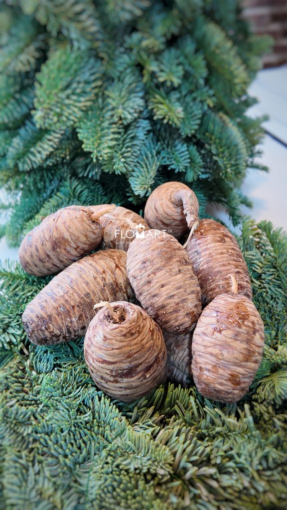 Pinecone Cedar Small