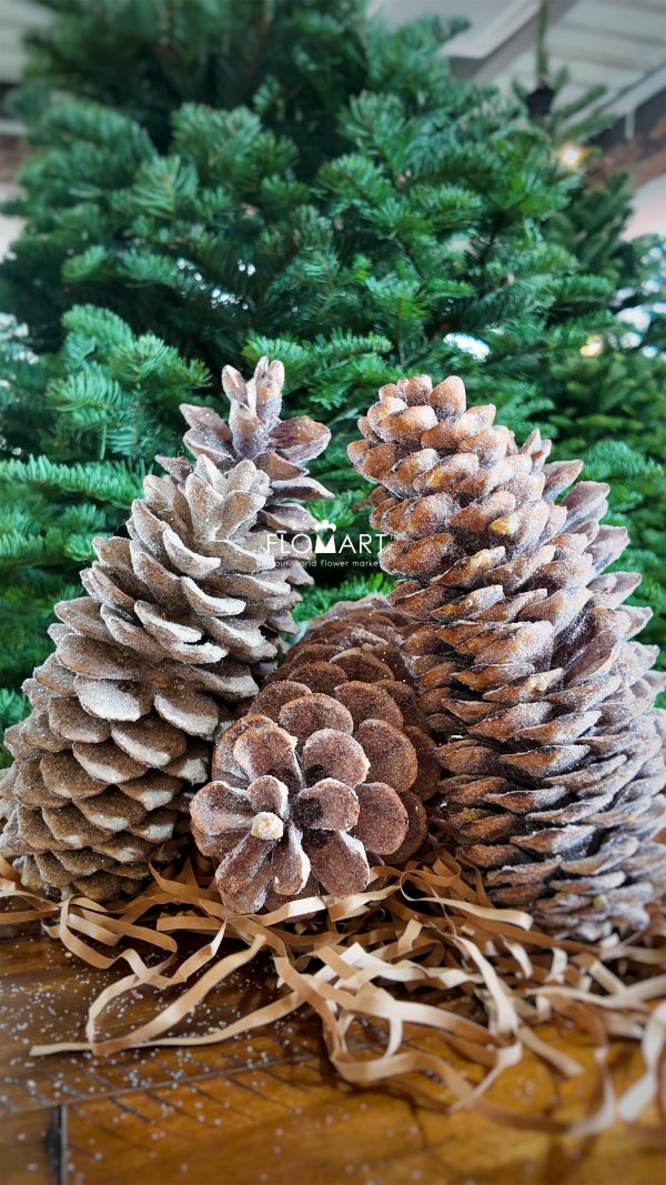 Pinecone Sugar Gold