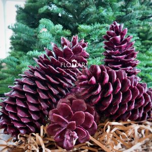 Pinecone Wax Red