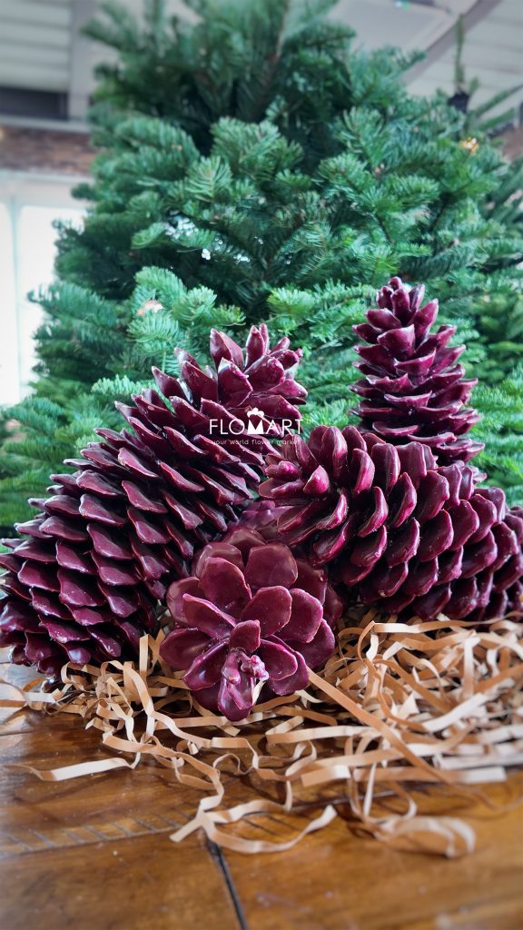 Pinecone Wax Red