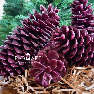 Pinecone Wax Red - Image 2