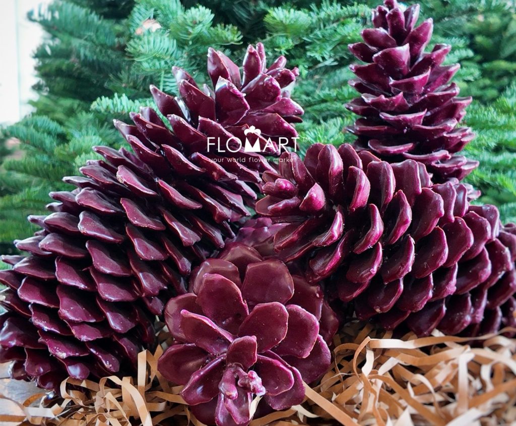 Pinecone Wax Red