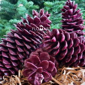 Pinecone Wax Red - Image 1