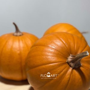 Pumpkin Baby Bear Orange