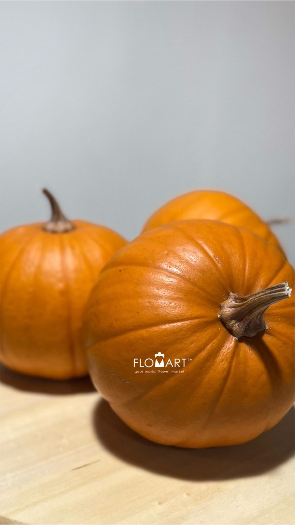 Pumpkin Baby Bear Orange