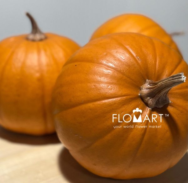 Pumpkin Baby Bear Orange