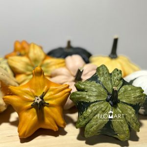 Pumpkin Daisy
