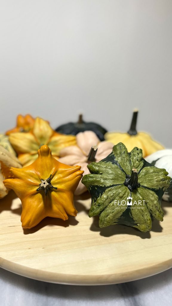 Pumpkin Daisy