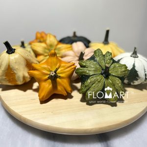 Pumpkin Daisy - Image 2